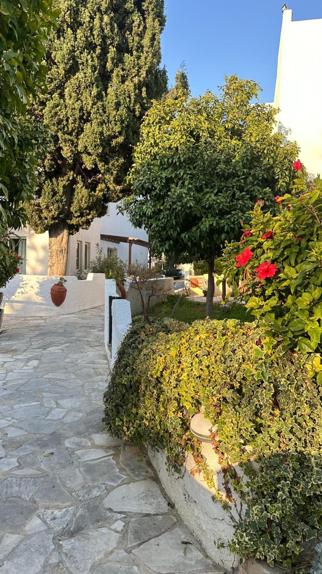 Paphos Gardens Studio Suite Zewnętrze zdjęcie